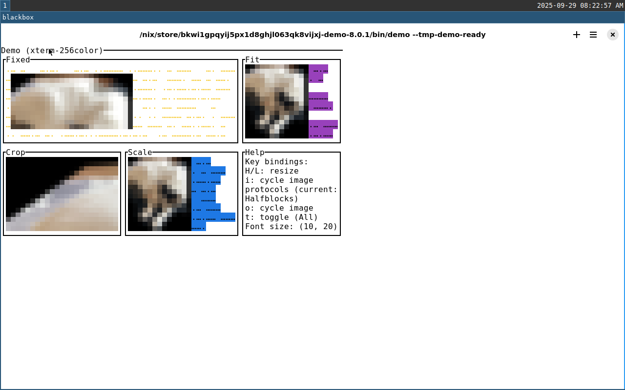 blackbox screenshot