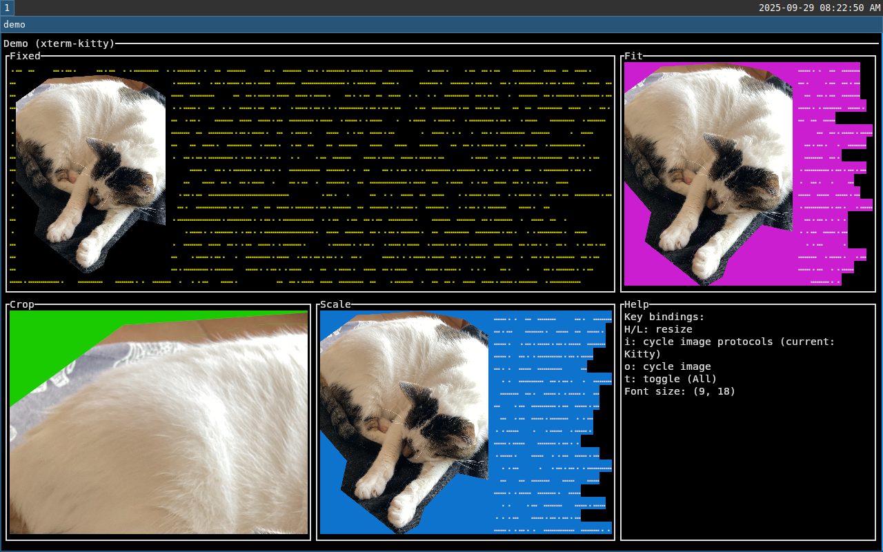 kitty screenshot