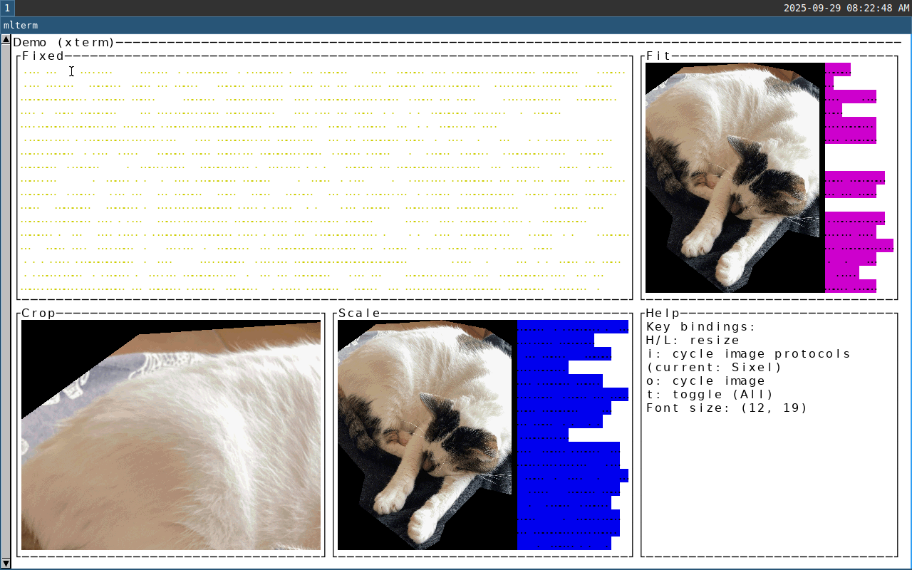 mlterm screenshot