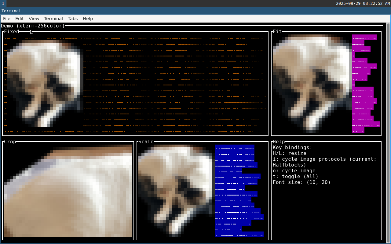 xfce4-terminal screenshot