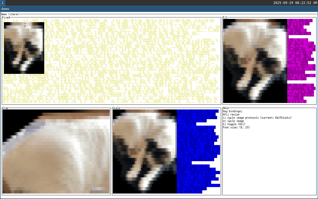 xterm screenshot